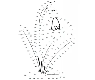 Snowdrop Flower dot to dot printable